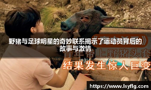 野猪与足球明星的奇妙联系揭示了运动员背后的故事与激情